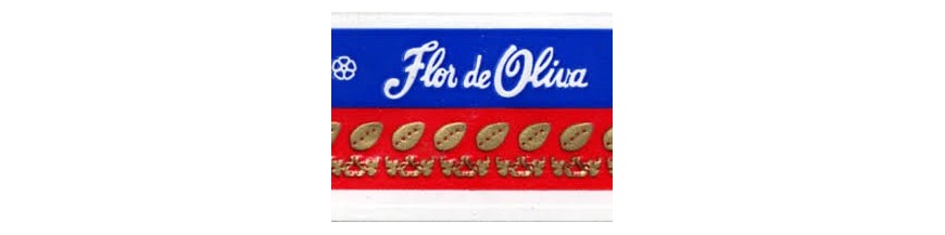 Buy Cigars from Nicaragua Flor de Oliva at cigars-online.nl